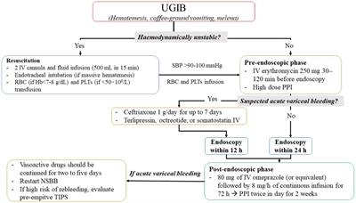 Acute upper and lower gastrointestinal bleeding management in older people taking or not taking anticoagulants: a literature review